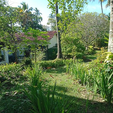 Freedom192 Hotel Weligama Buitenkant foto