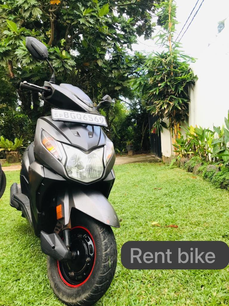 Freedom192 Hotel Weligama Buitenkant foto