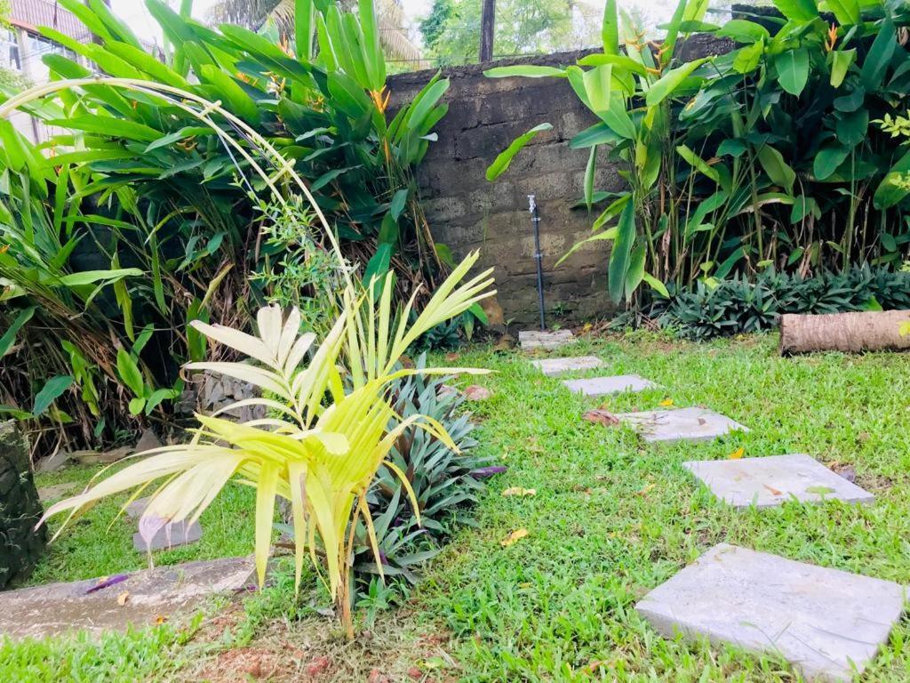 Freedom192 Hotel Weligama Buitenkant foto