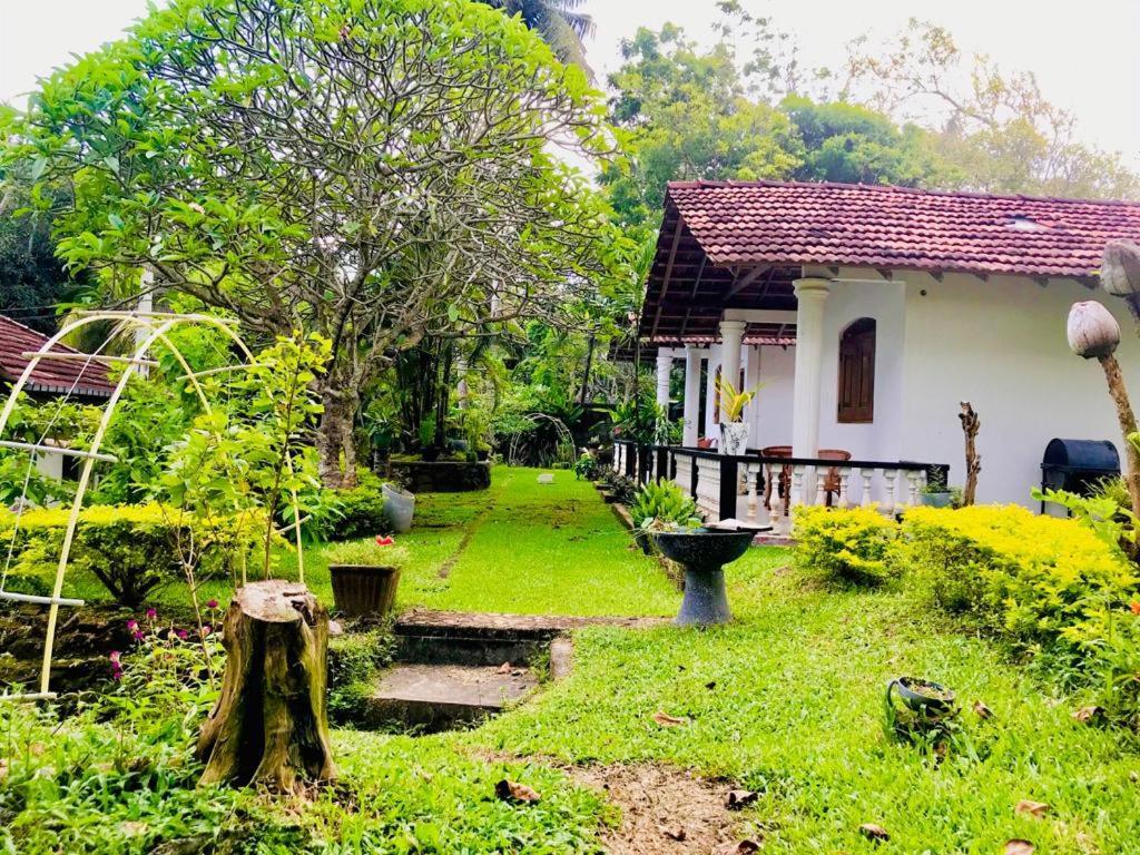 Freedom192 Hotel Weligama Buitenkant foto
