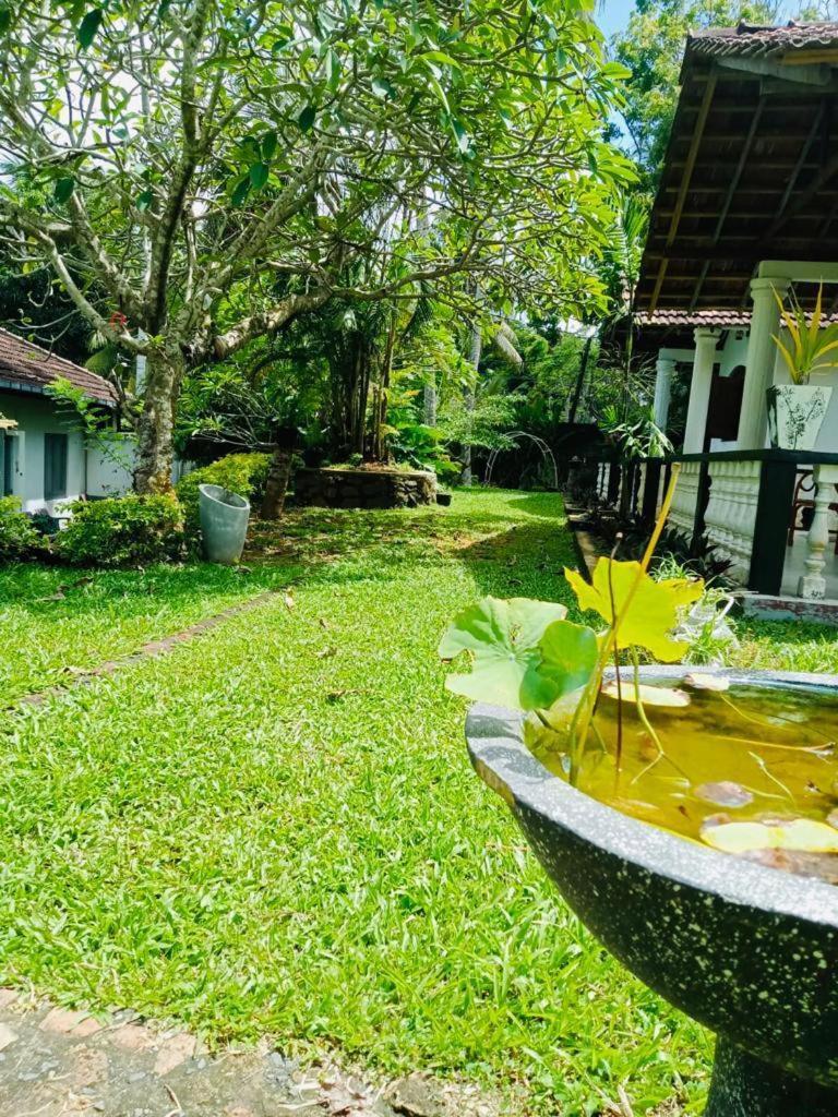 Freedom192 Hotel Weligama Buitenkant foto