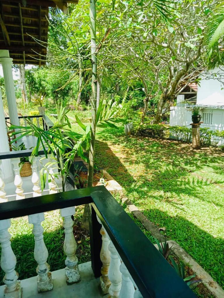 Freedom192 Hotel Weligama Buitenkant foto