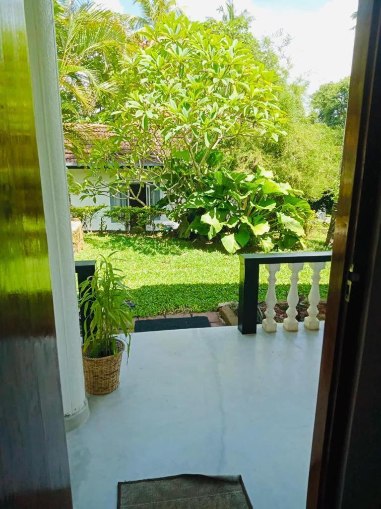 Freedom192 Hotel Weligama Buitenkant foto