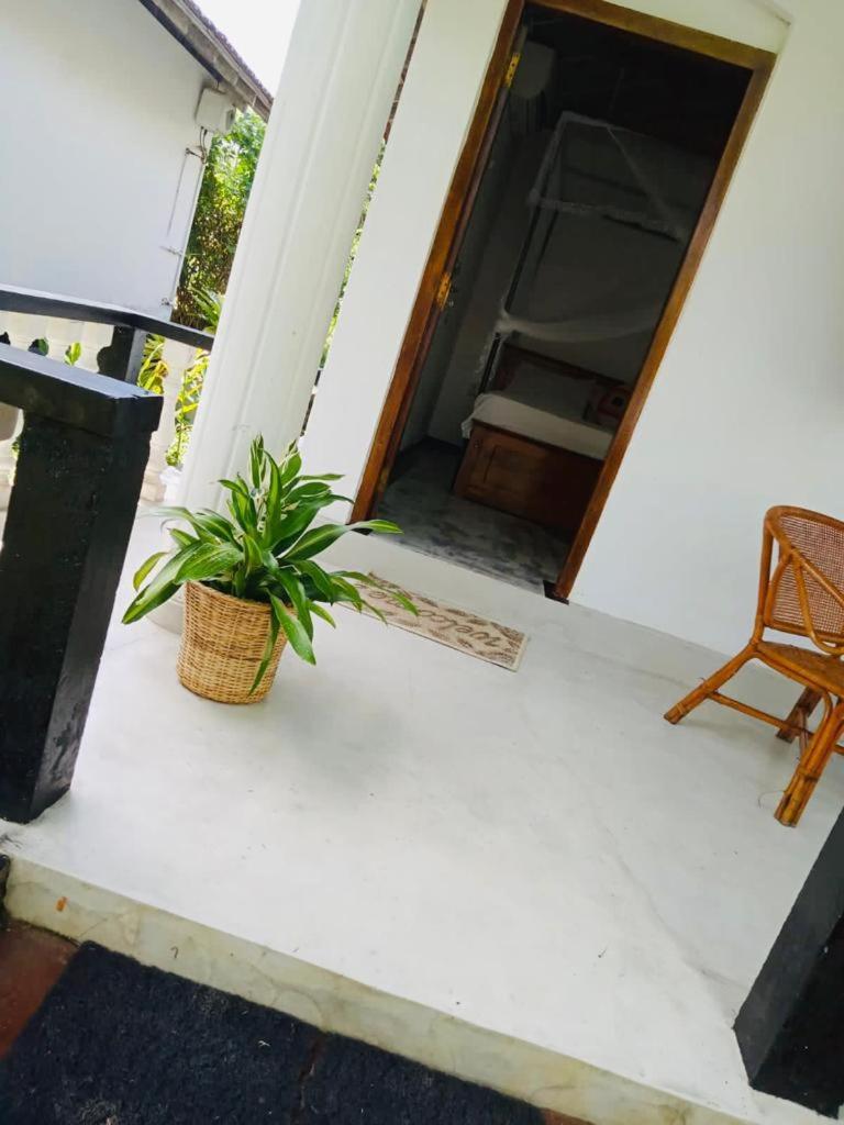 Freedom192 Hotel Weligama Buitenkant foto