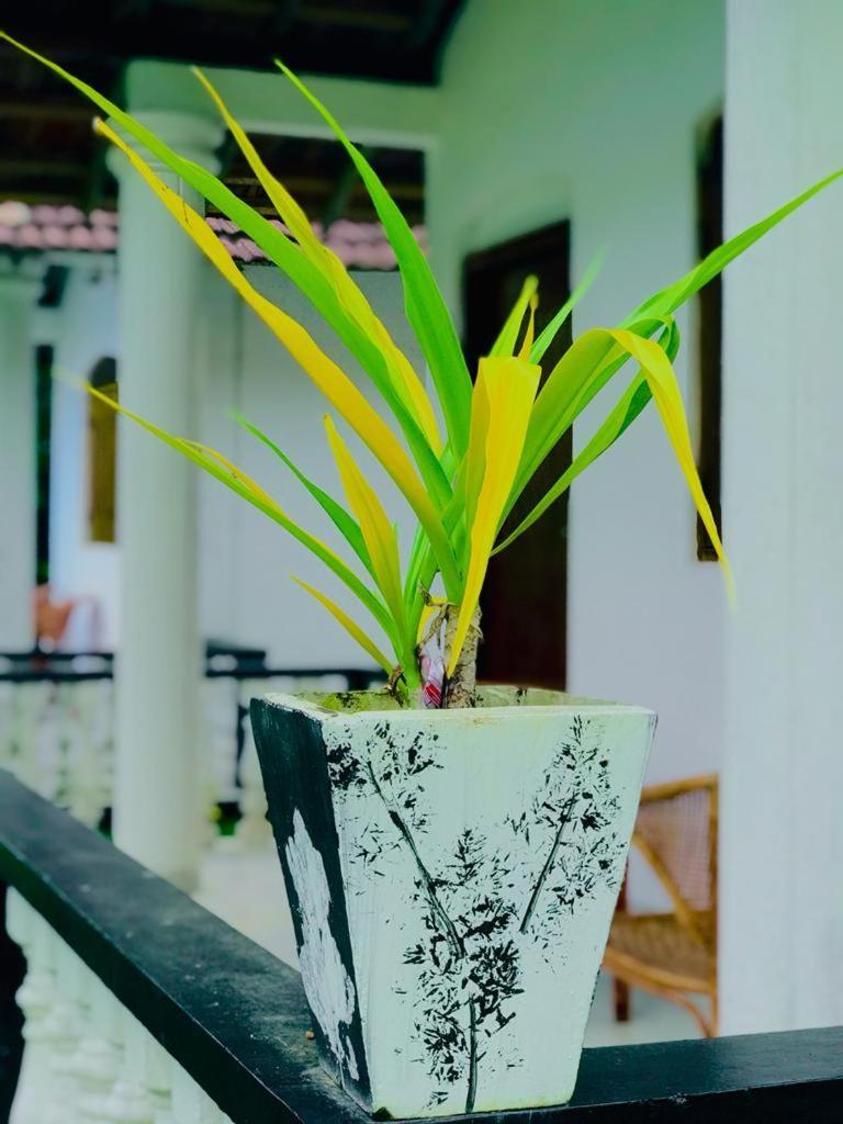 Freedom192 Hotel Weligama Kamer foto