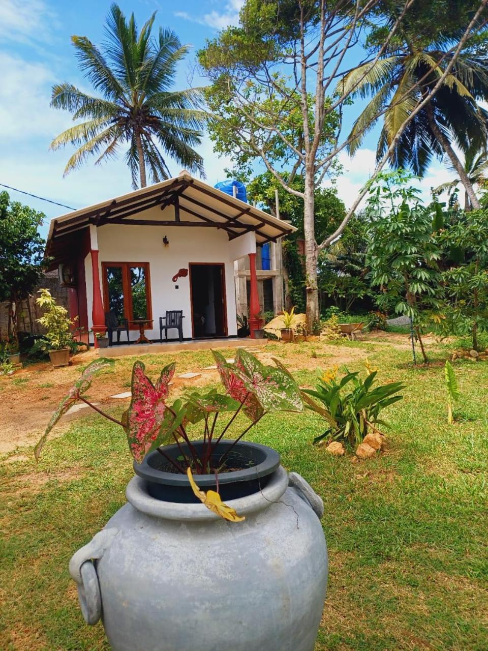 Freedom192 Hotel Weligama Buitenkant foto