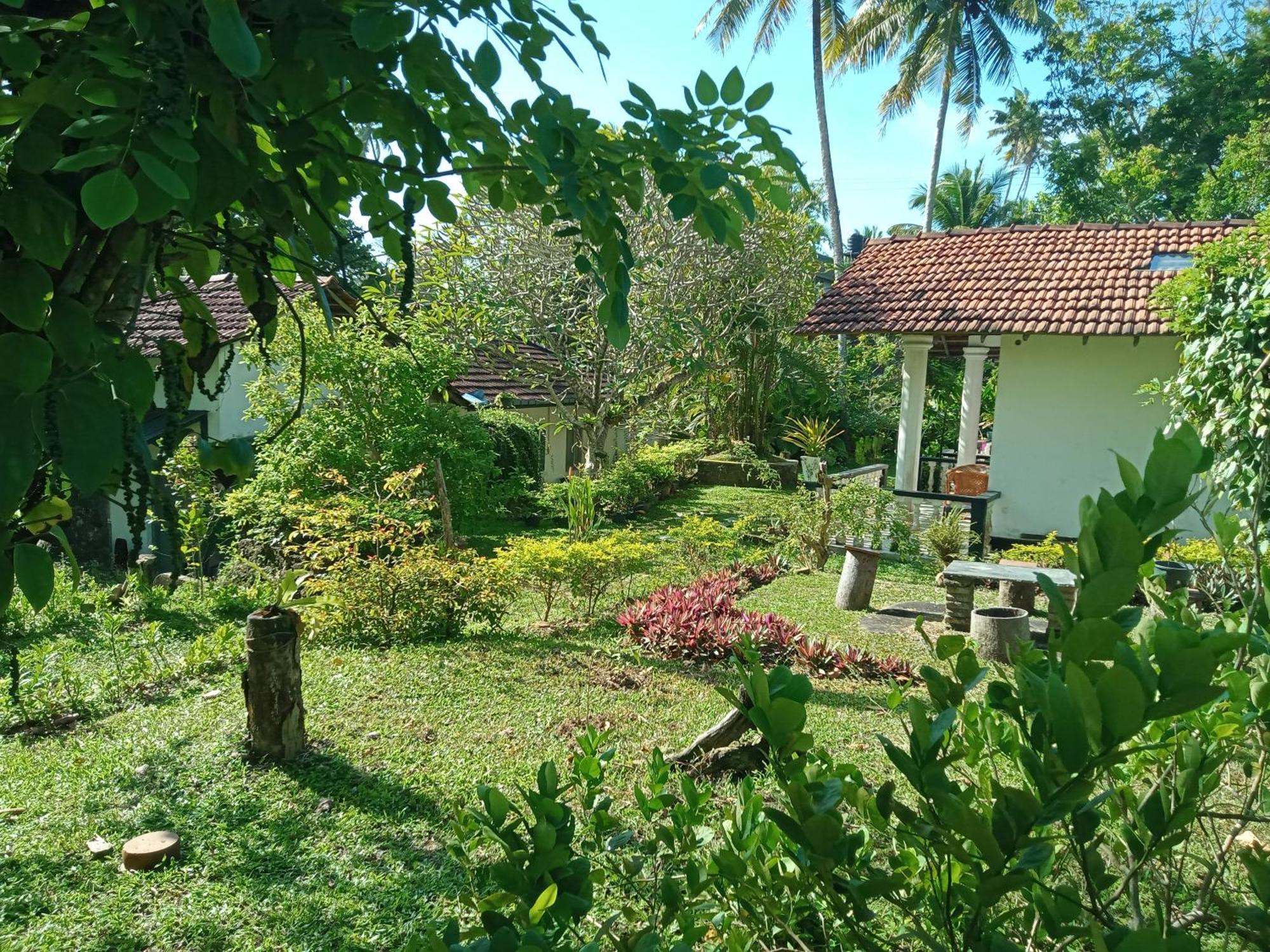 Freedom192 Hotel Weligama Buitenkant foto