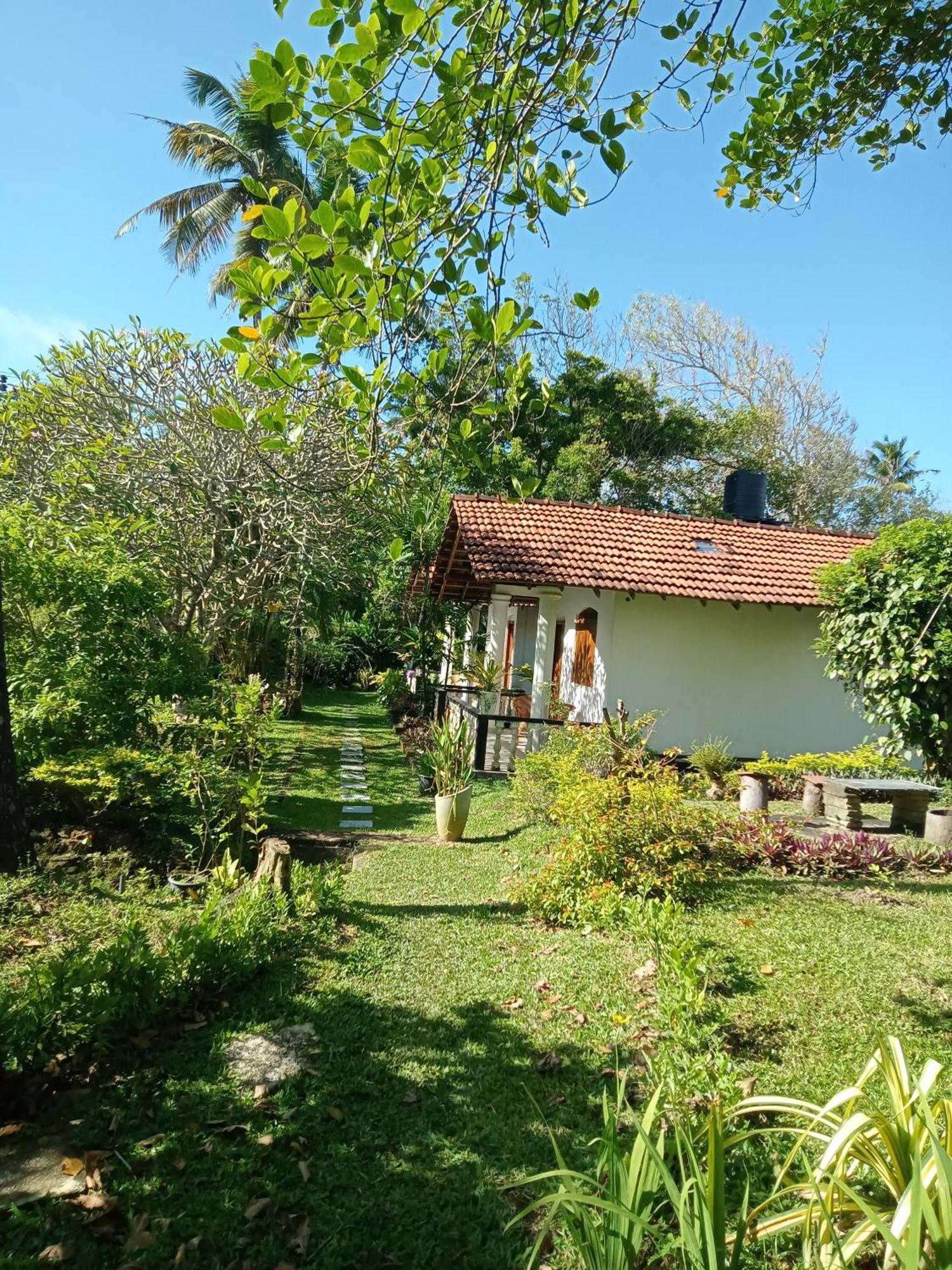 Freedom192 Hotel Weligama Buitenkant foto